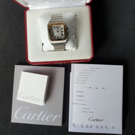 Cartier Santos De Cartier Santos 100 W200728G
