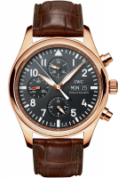 IWC Pilot’s Watch Chronograph 42 mm IW371713