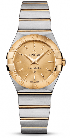 Omega Constellation Quartz 27 mm 123.20.27.60.08.001