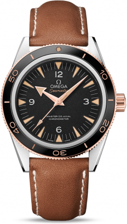Omega Seamaster 300 Master Co-Axial 41 mm 233.22.41.21.01.002