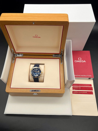 Omega Seamaster Diver 300M Co-Axial 42 mm 210.22.42.20.03.001