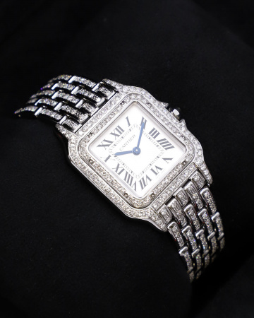 Cartier Panthere De Cartier Medium Tuning 37 x 27 mm WSPN0007 Custom