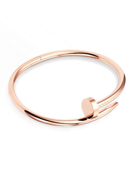 Браслет Cartier Juste Un Clou Bracelet B6048117