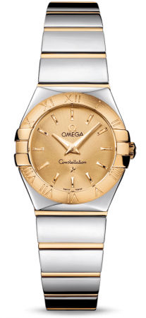 Omega Constellation Quartz 24 mm 123.20.24.60.08.002