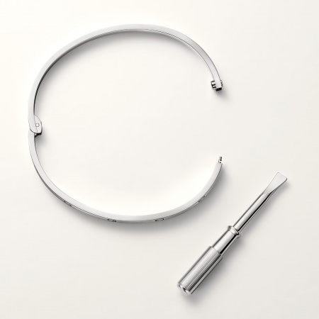 Браслет Cartier Love Small Bracelet B6079218