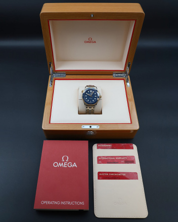 Omega Seamaster Diver 300M Co-Axial Master Chronometer 42 mm 210.20.42.20.03.001