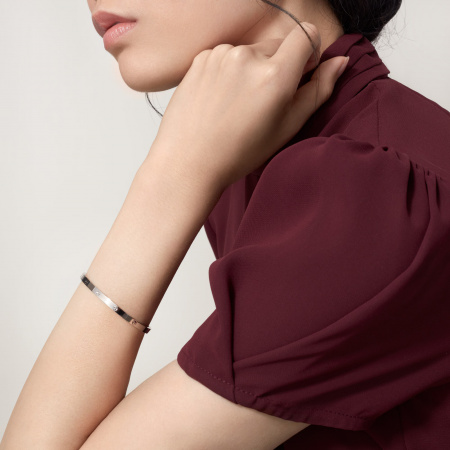 Браслет Cartier Love Small Bracelet B6047417